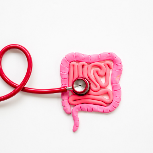 Microbiote et immunité : pourquoi vous tombez malade après chaque rush pro
