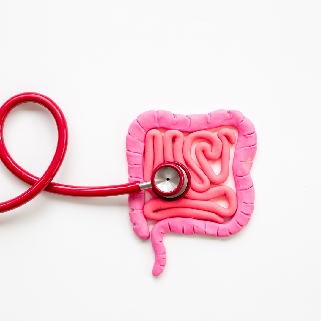 Microbiote et immunité : pourquoi vous tombez malade après chaque rush pro